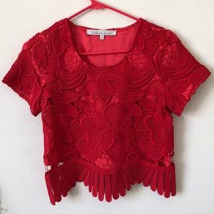 Nwot Lace Top - Lovers + Friends
